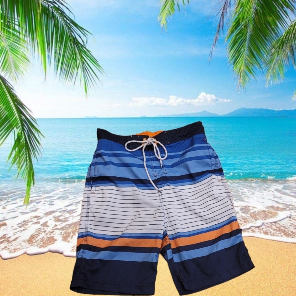 Goodfellows & Co Men's Striped Swim Trunks